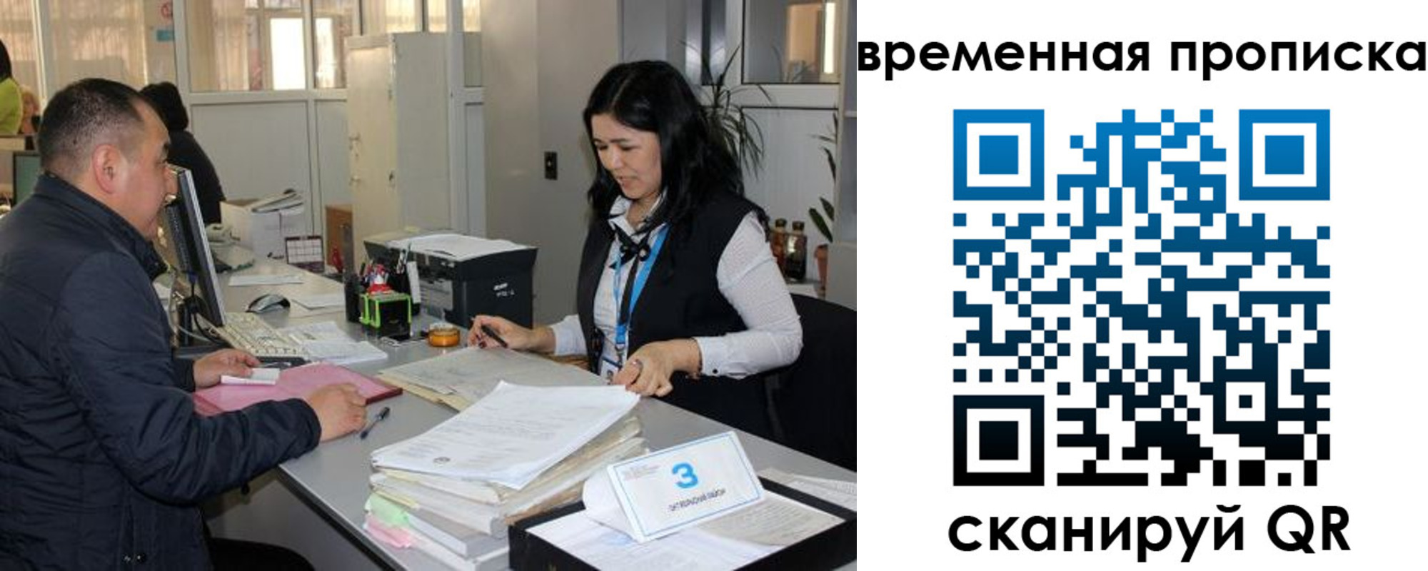 временная регистрация поиск в Белгородской области